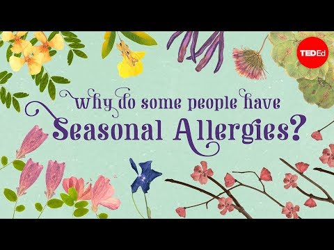 Why do people have seasonal allergies?